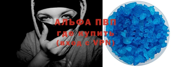 дживик Няндома