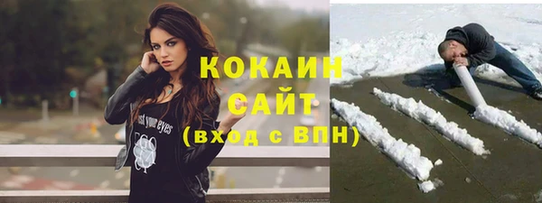 дживик Новозыбков