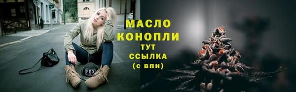 стафф Новодвинск