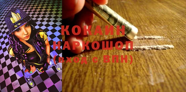дживик Новозыбков