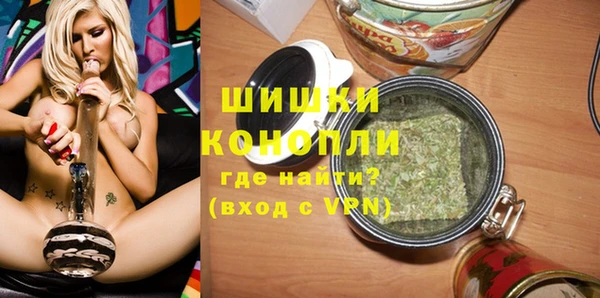 стафф Новодвинск