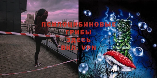 хмурый Нягань