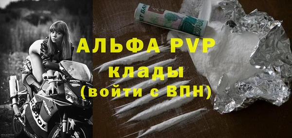 дживик Няндома