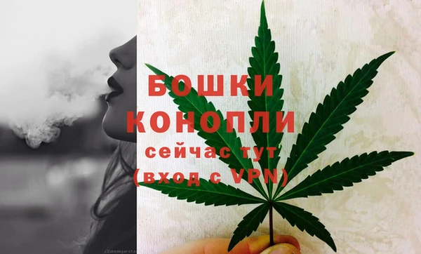 дживик Няндома