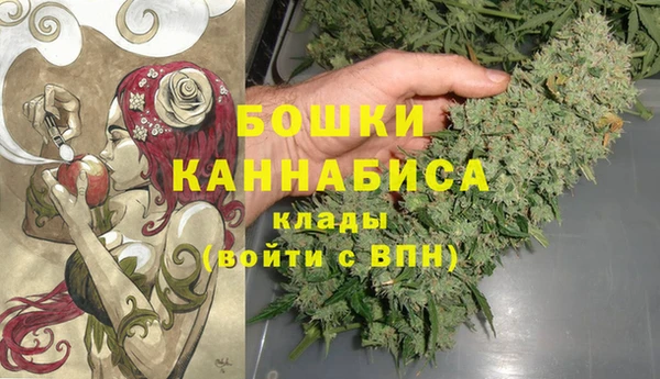 хмурый Нягань