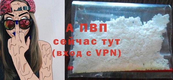 дживик Новозыбков